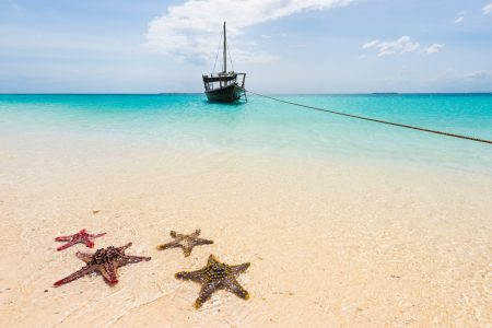 Viaje a Zanzíbar: El Paraíso del Océano Índico